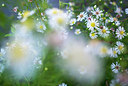 BUITEN BEELD Foto: 225374
