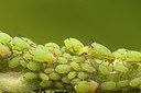 BUITEN BEELD Foto: 225577