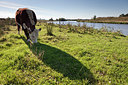 BUITEN BEELD Foto: 225588