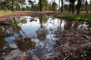 BUITEN BEELD Foto: 225599