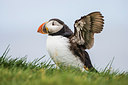 BUITEN BEELD Foto: 225635