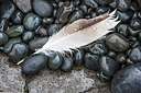 BUITEN BEELD Foto: 225638