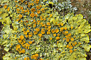 BUITEN BEELD Foto: 225728