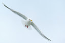 BUITEN BEELD Foto: 225848
