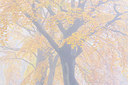 BUITEN BEELD Foto: 225922