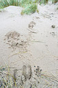 BUITEN BEELD Foto: 225941