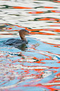 BUITEN BEELD Foto: 225943