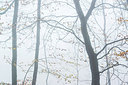 BUITEN BEELD Foto: 225945