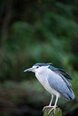 BUITEN BEELD Foto: 225972