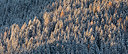 BUITEN BEELD Foto: 226007