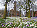 BUITEN BEELD Foto: 226041