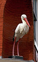 BUITEN BEELD Foto: 226064