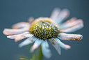 BUITEN BEELD Foto: 226096