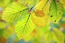 BUITEN BEELD Foto: 226167