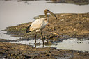 BUITEN BEELD Foto: 226216