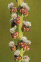 BUITEN BEELD Foto: 226229
