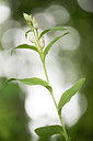 BUITEN BEELD Foto: 226346