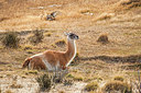 BUITEN BEELD Foto: 226369