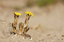 BUITEN BEELD Foto: 226421