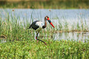 BUITEN BEELD Foto: 226433