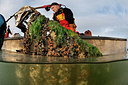 BUITEN BEELD Foto: 226472