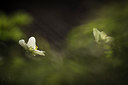 BUITEN BEELD Foto: 226478