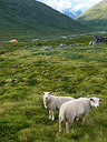 BUITEN BEELD Foto: 226770