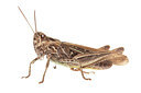 BUITEN BEELD Foto: 226888