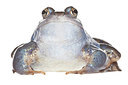 BUITEN BEELD Foto: 226942