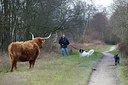 BUITEN BEELD Foto: 227056