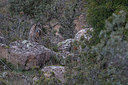 BUITEN BEELD Foto: 227124
