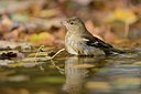 BUITEN BEELD Foto: 227137