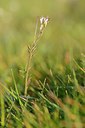 BUITEN BEELD Foto: 227239