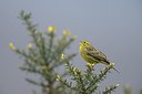 BUITEN BEELD Foto: 227269