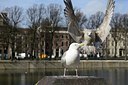 BUITEN BEELD Foto: 227405