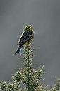 BUITEN BEELD Foto: 227453