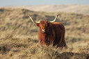 BUITEN BEELD Foto: 227481