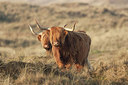 BUITEN BEELD Foto: 227482
