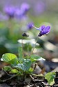 BUITEN BEELD Foto: 227490