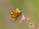 BUITEN BEELD Foto: 227644