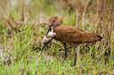 BUITEN BEELD Foto: 227886