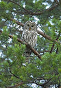 BUITEN BEELD Foto: 227926