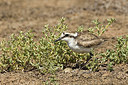 BUITEN BEELD Foto: 227972