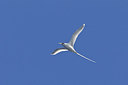 BUITEN BEELD Foto: 227999