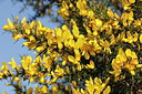 BUITEN BEELD Foto: 228055