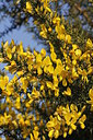 BUITEN BEELD Foto: 228056