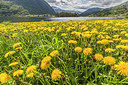 BUITEN BEELD Foto: 228125