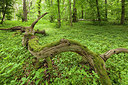 BUITEN BEELD Foto: 228127