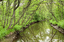 BUITEN BEELD Foto: 228130