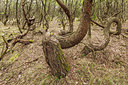 BUITEN BEELD Foto: 228131